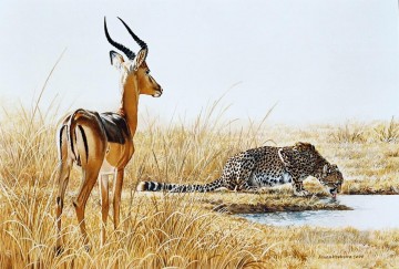 guépard et ram de l’impala Peinture à l'huile